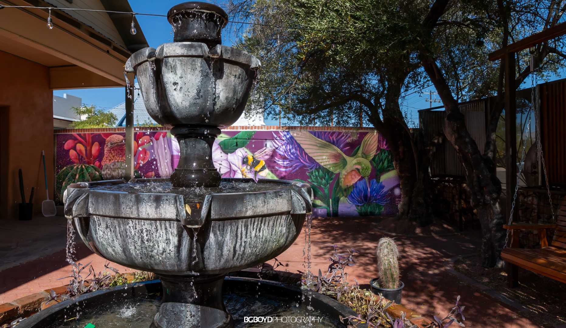 Tucson Murals